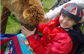 Child with alpaca